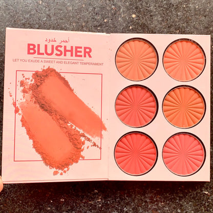 Ckrismiss Make up Kt Eyeshadow & Highlighter Blush 5 in 1 palette